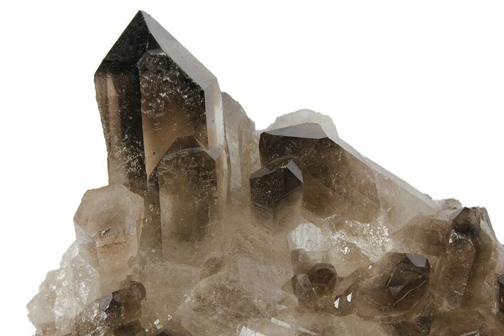 Dark Smoky Quartz Crystal Cluster - Brazil #104093